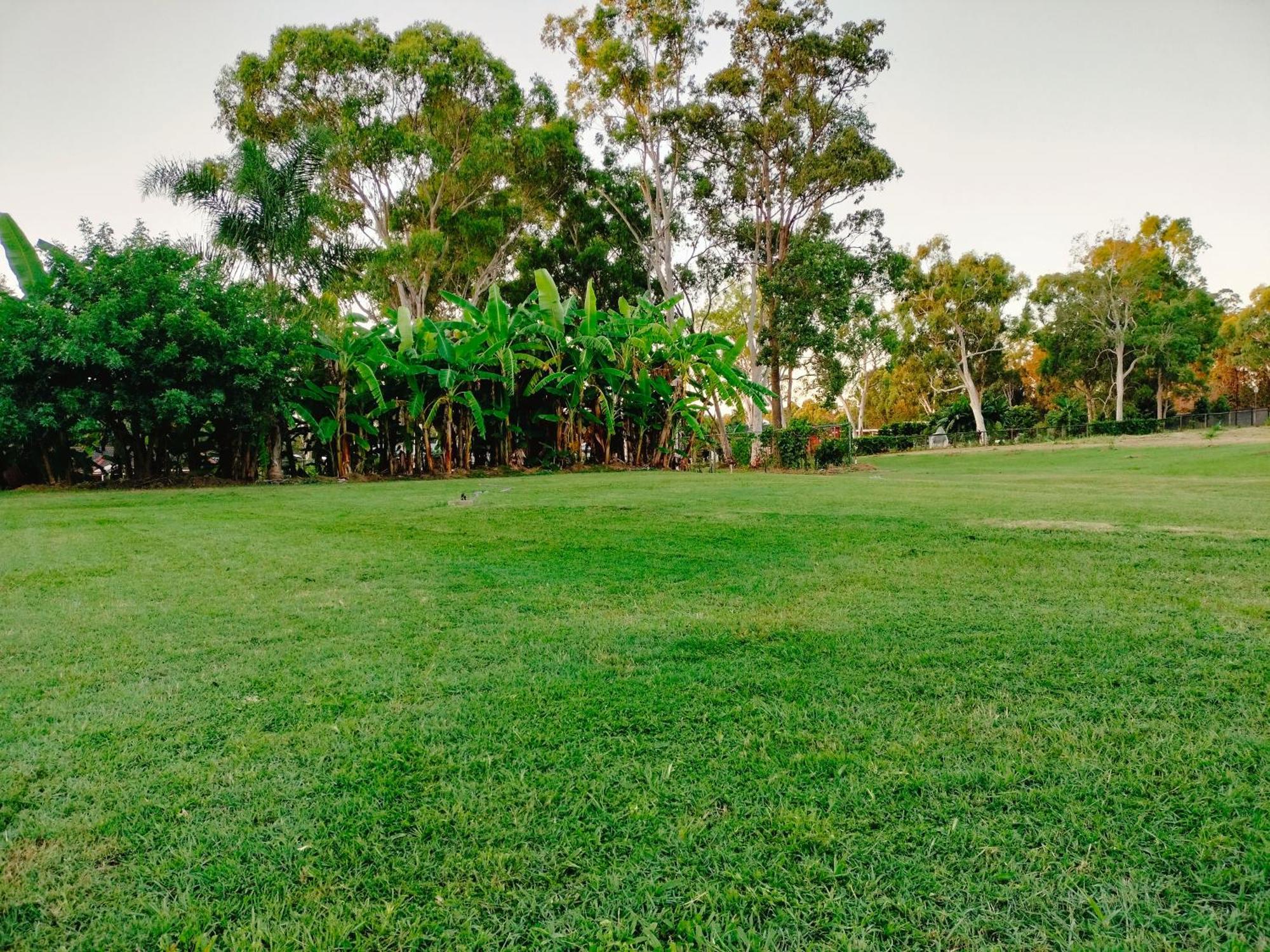 בראונס פלאיינס The Woodlands Hideaway - Premium Acreage Guesthouse מראה חיצוני תמונה